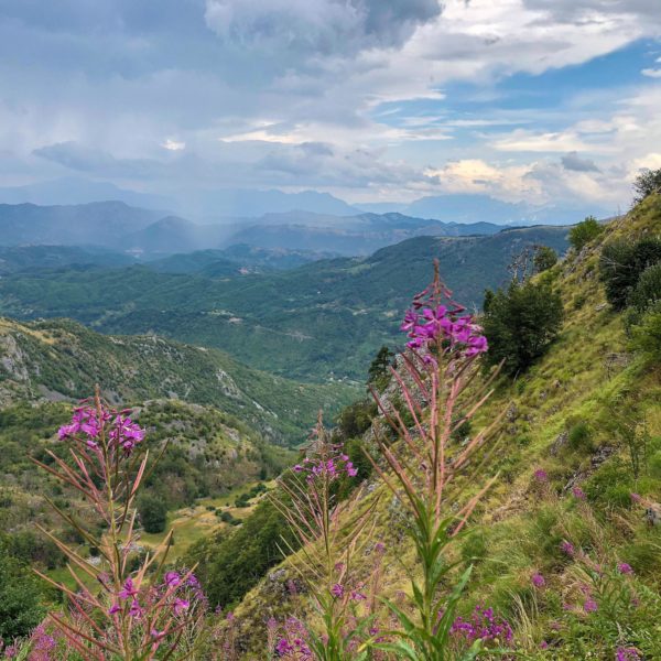 Wunderbare Bergwelt Montenegros mit intakter Flora und Fauna