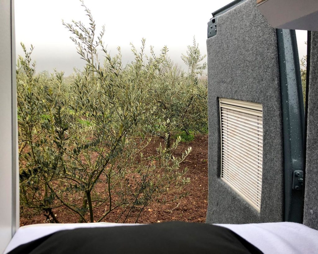 Blick aus dem ATACAMA 4x4S auf einen Olivenhain