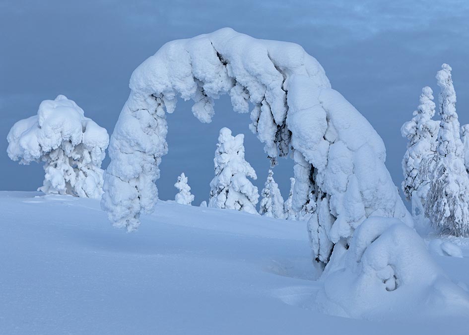 Winter in Finnland - grandiose Winterlandschaft