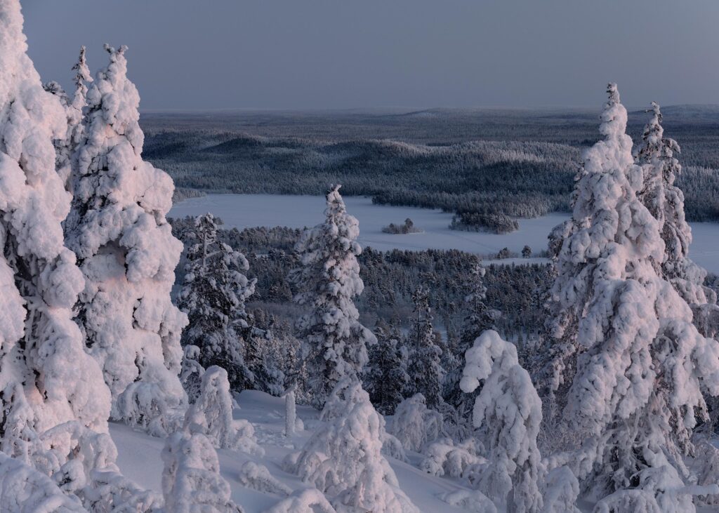 Auf dem Jyppyrä beim Wintercamping in finnisch-Lappland