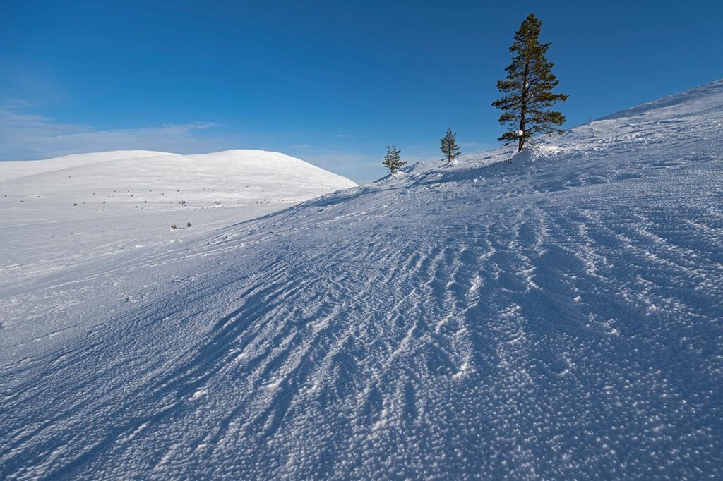 Pallas-Yllästunturi Nationalpark in Finnland im Winter