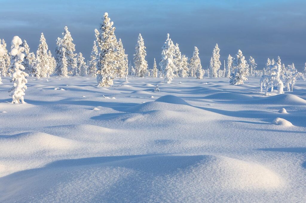 Zauberhaftes Finnland verschneit im Sonnenuntergang